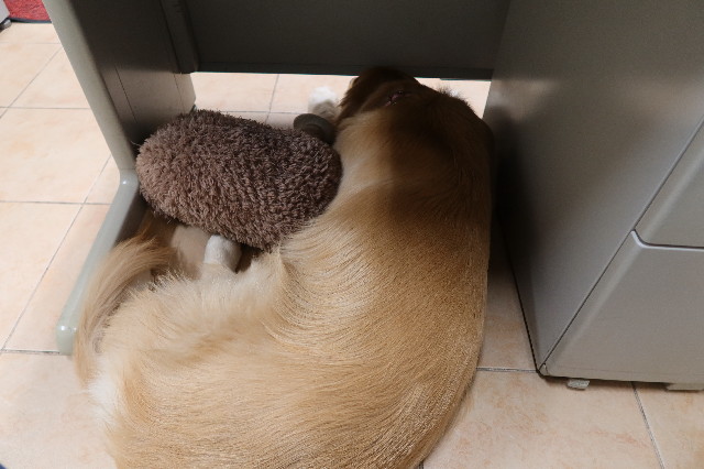 ファイル 7589-5.jpg