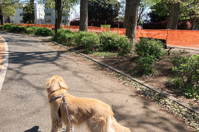 ファイル 7590-1.jpg