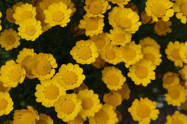 ファイル 7591-5.jpg