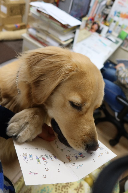 ファイル 7594-4.jpg