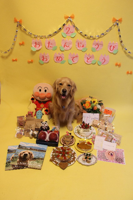 ファイル 7597-1.jpg