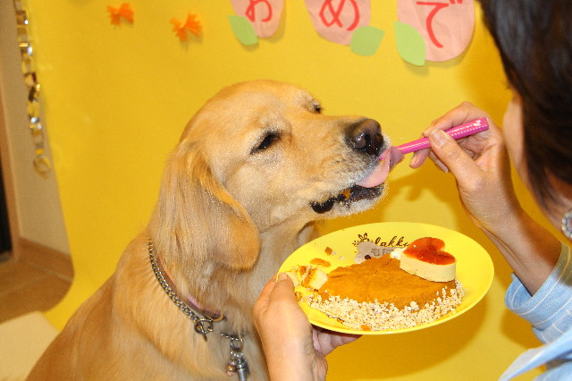 ファイル 7597-4.jpg