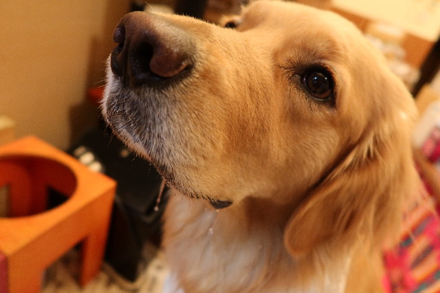 ファイル 7599-2.jpg