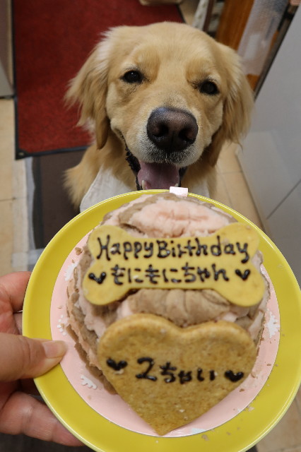 ファイル 7599-4.jpg