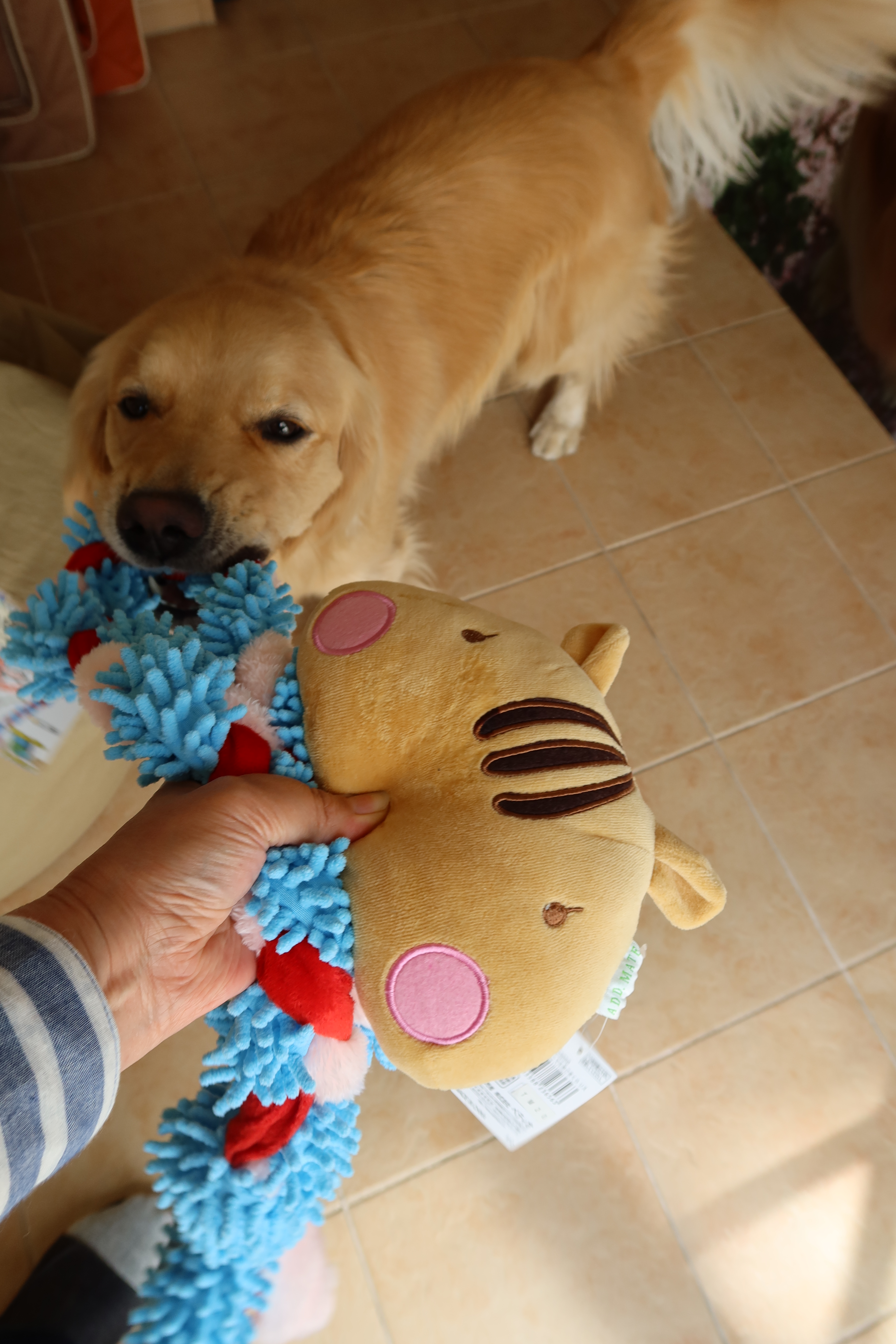 ファイル 7599-5.jpg