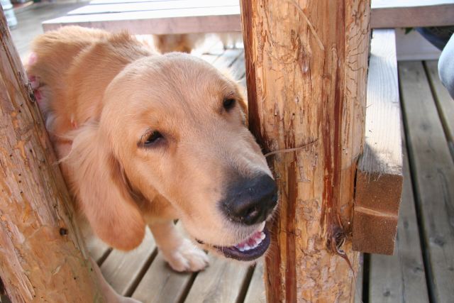 ファイル 76-2.jpg