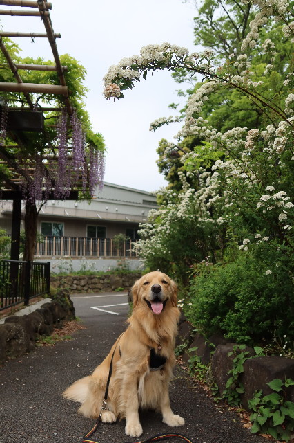 ファイル 7604-5.jpg