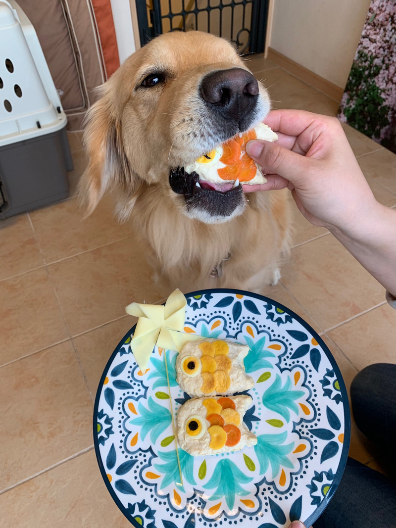 ファイル 7605-3.jpg