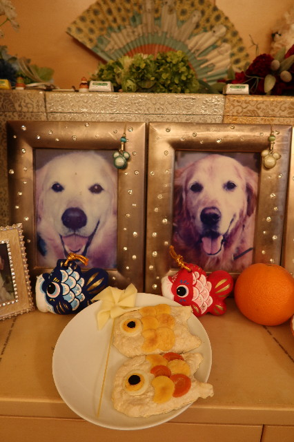 ファイル 7605-4.jpg