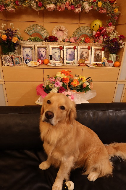 ファイル 7605-5.jpg