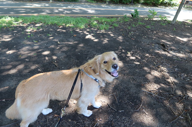 ファイル 7607-3.jpg