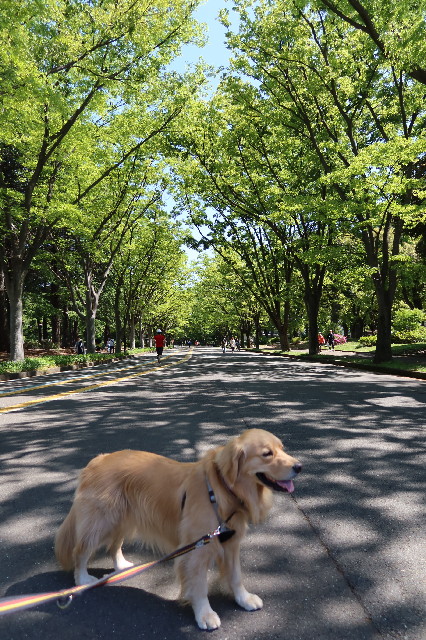 ファイル 7607-4.jpg