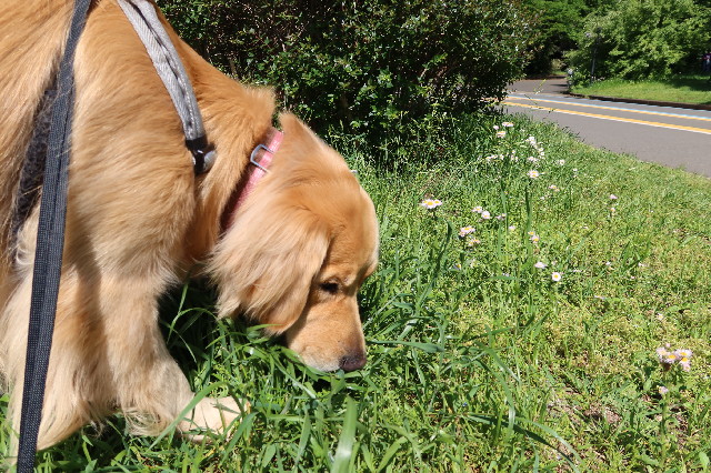 ファイル 7607-5.jpg