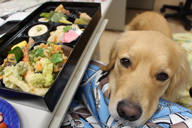 ファイル 7608-3.jpg