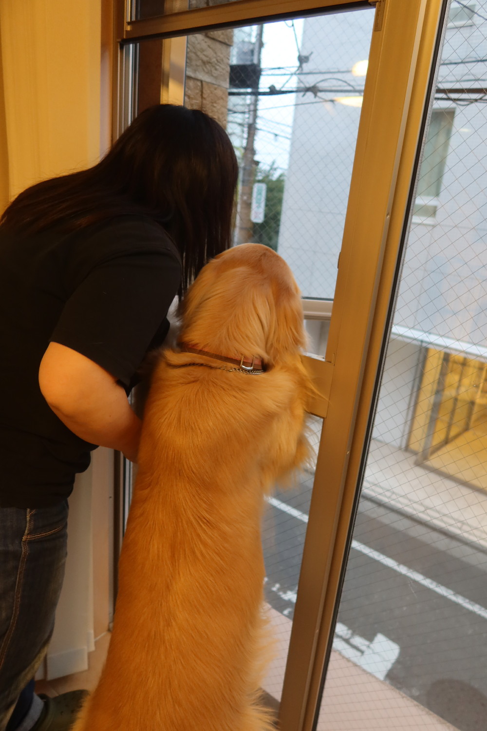 ファイル 7609-1.jpg