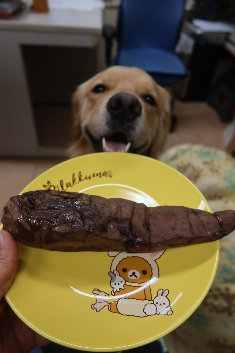 ファイル 7609-2.jpg