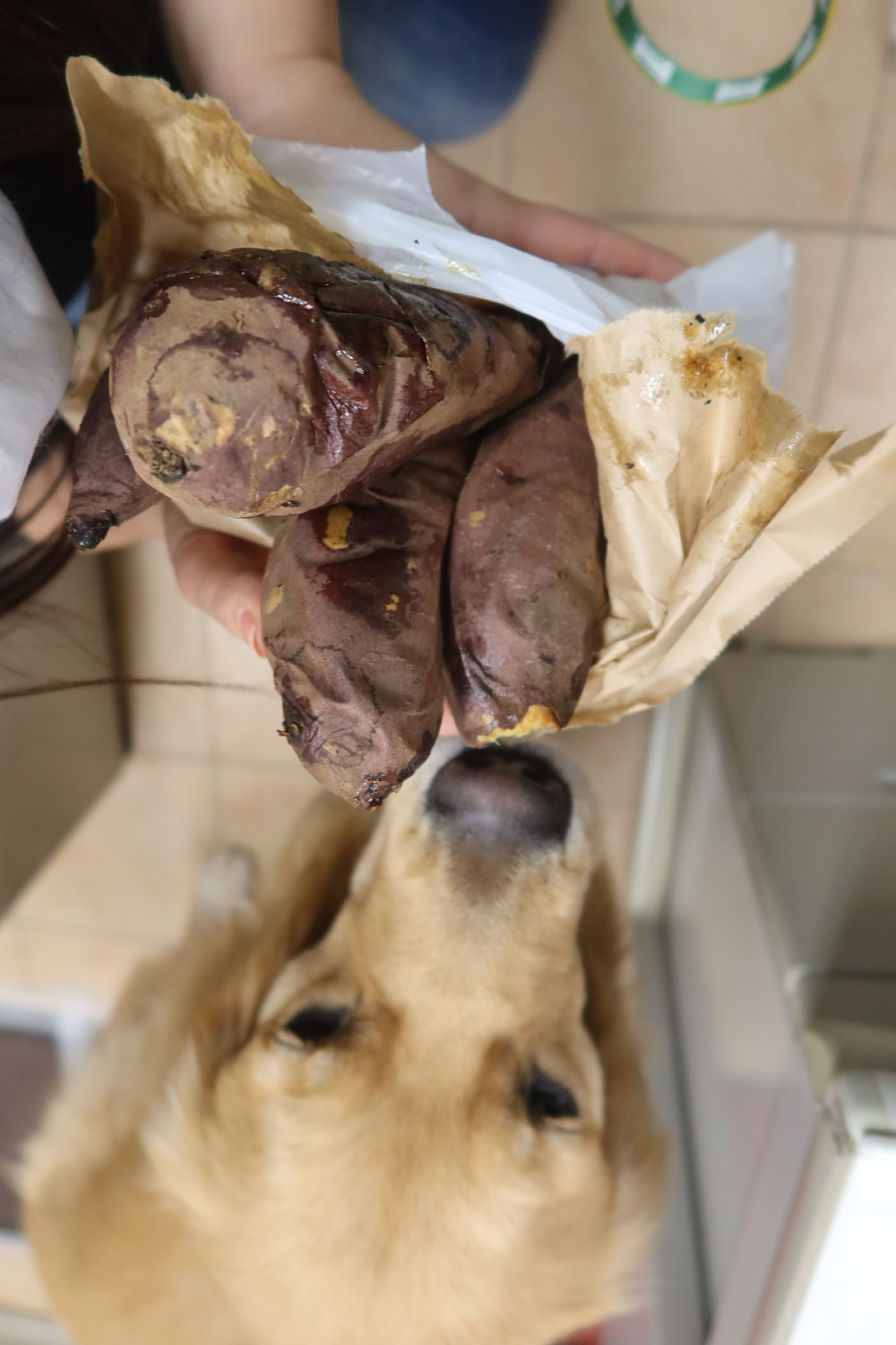 ファイル 7609-3.jpg