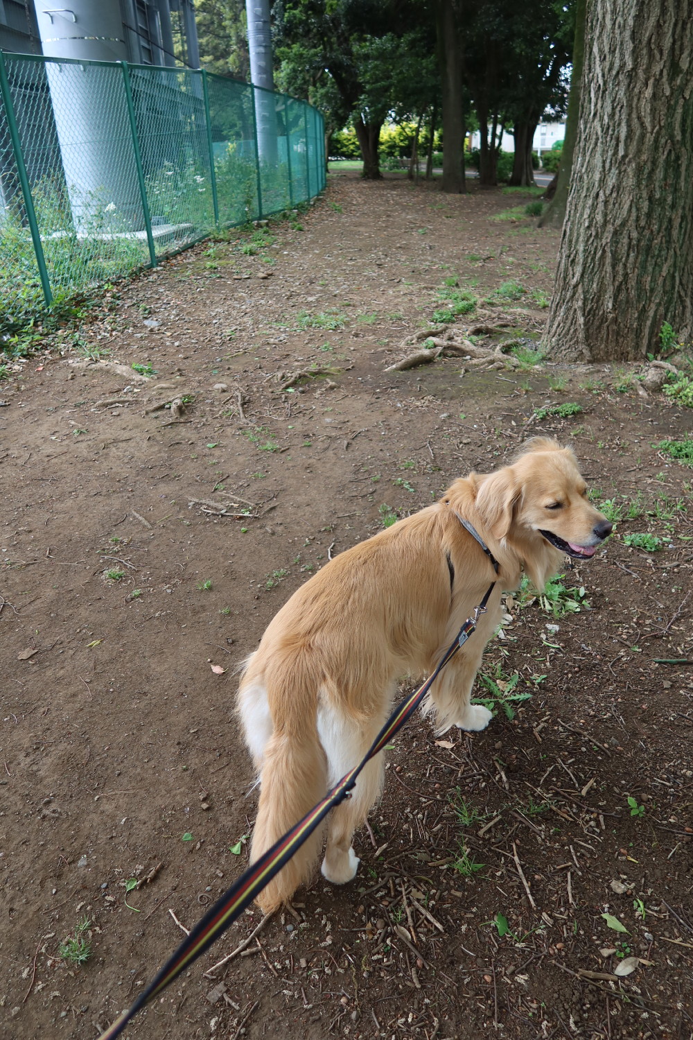 ファイル 7609-5.jpg