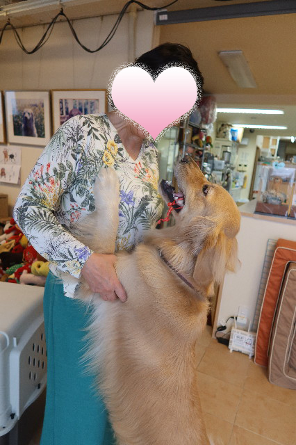 ファイル 7610-4.jpg