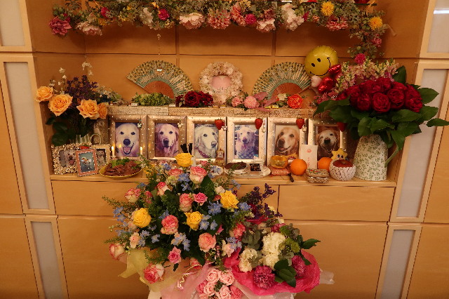 ファイル 7611-3.jpg