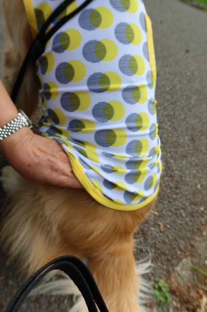 ファイル 7615-3.jpg