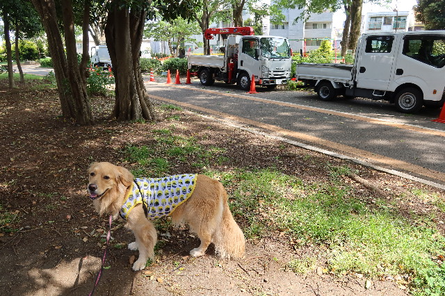 ファイル 7617-1.jpg