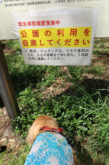 ファイル 7619-1.jpg