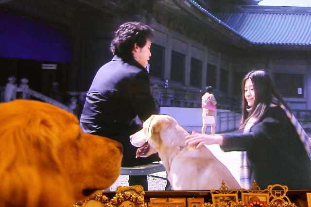 ファイル 7624-1.jpg