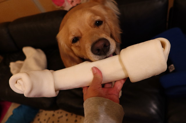 ファイル 7624-4.jpg