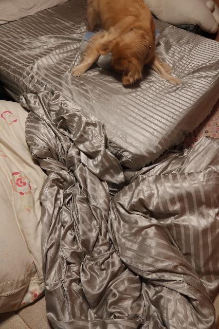 ファイル 7624-5.jpg