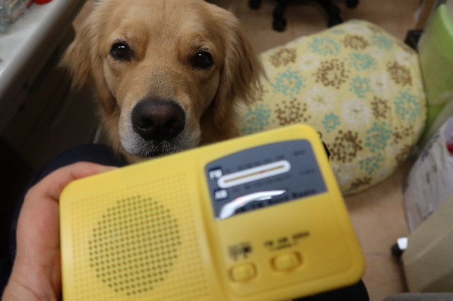 ファイル 7629-1.jpg