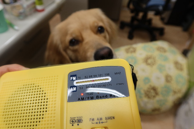 ファイル 7629-3.jpg