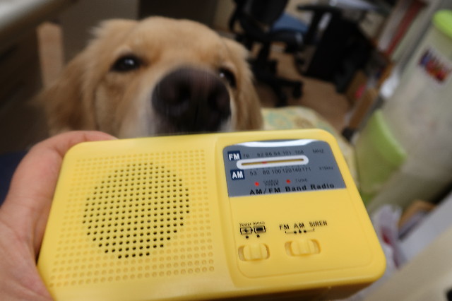 ファイル 7629-4.jpg