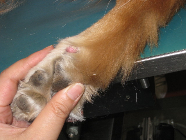 ファイル 763-2.jpg