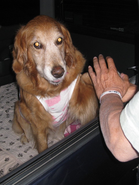 ファイル 763-5.jpg