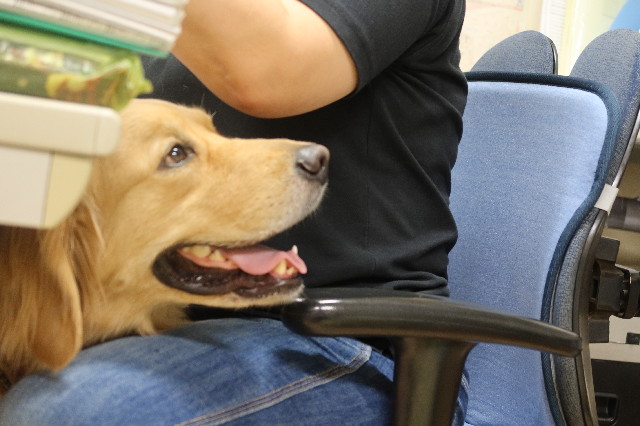 ファイル 7631-4.jpg