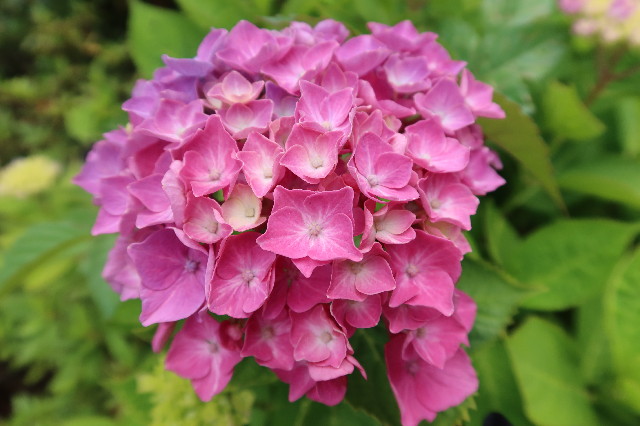 ファイル 7638-2.jpg