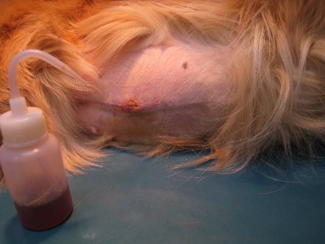 ファイル 764-2.jpg