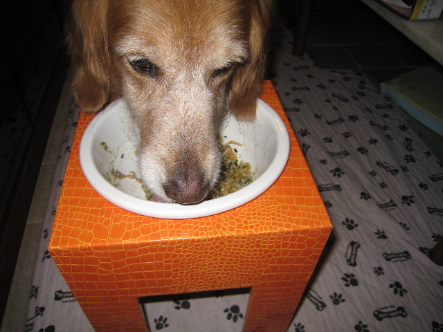 ファイル 764-4.jpg