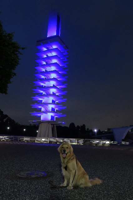 ファイル 7641-3.jpg