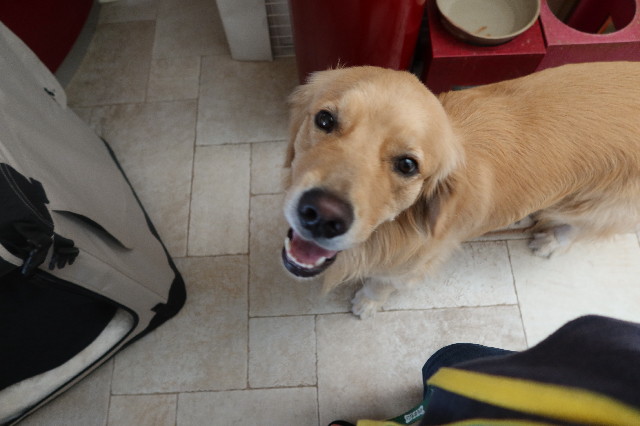 ファイル 7644-2.jpg