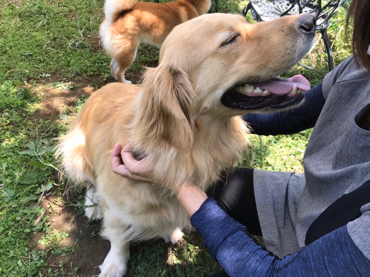 ファイル 7644-3.jpg