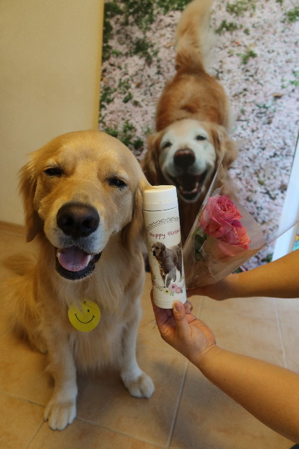 ファイル 7648-2.jpg