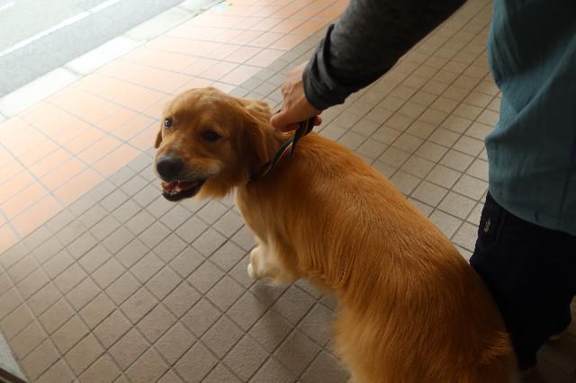 ファイル 7654-1.jpg