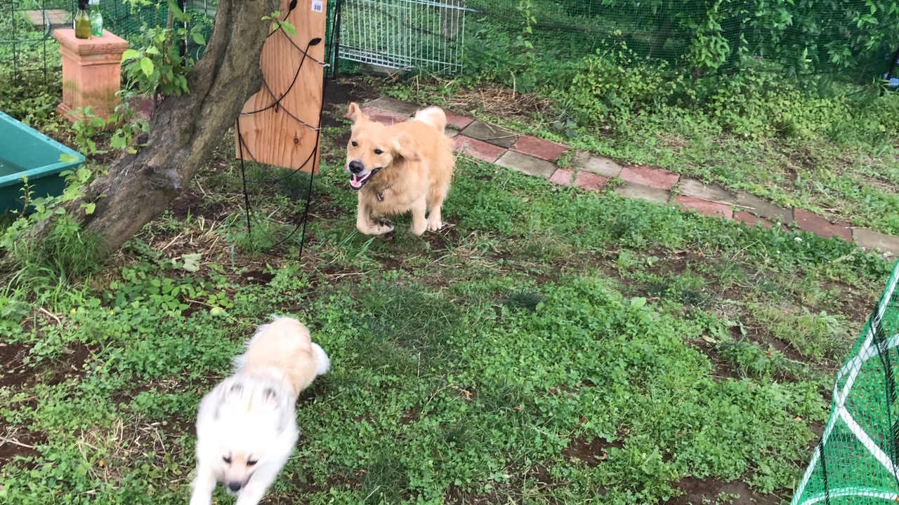 ファイル 7654-3.jpg