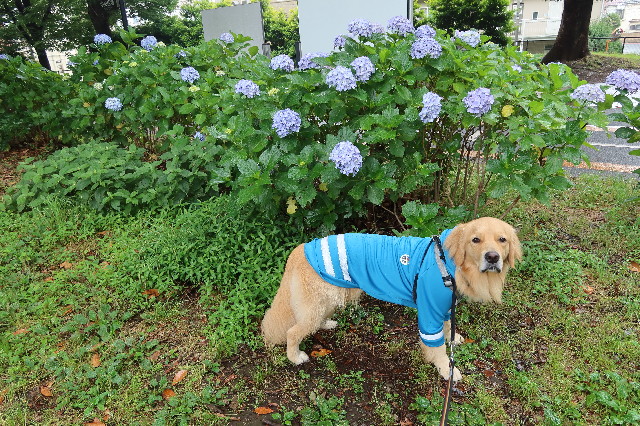 ファイル 7656-4.jpg