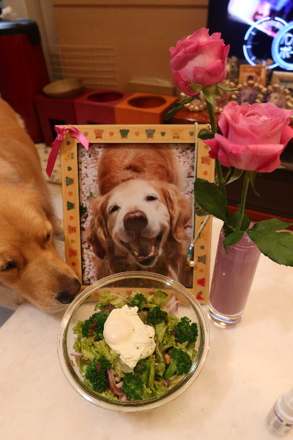 ファイル 7656-5.jpg