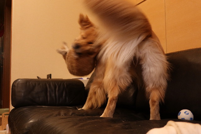 ファイル 7657-2.jpg