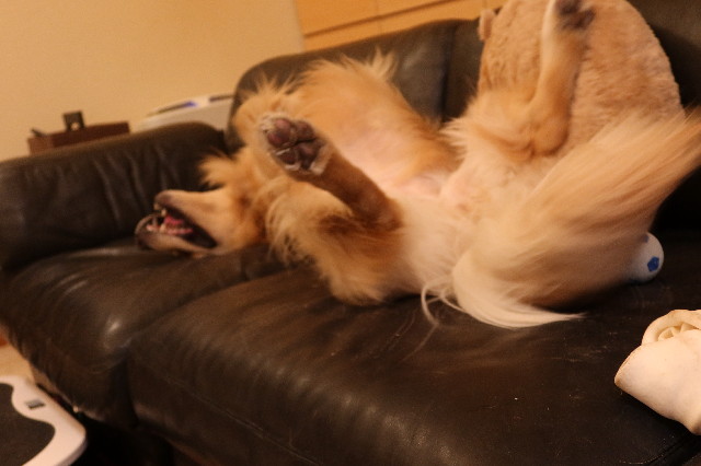 ファイル 7657-3.jpg