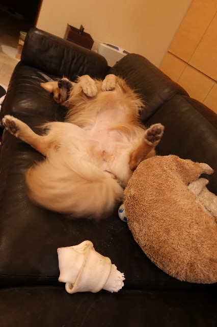 ファイル 7657-5.jpg